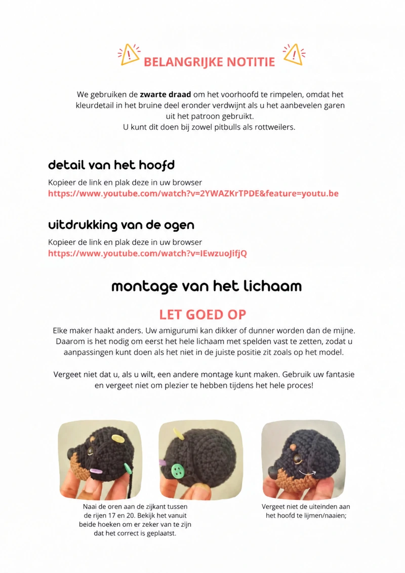 Belangrijke notities en montage van het lichaam